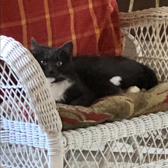 Fiona, My Posh Helper - Picture 1 of 10